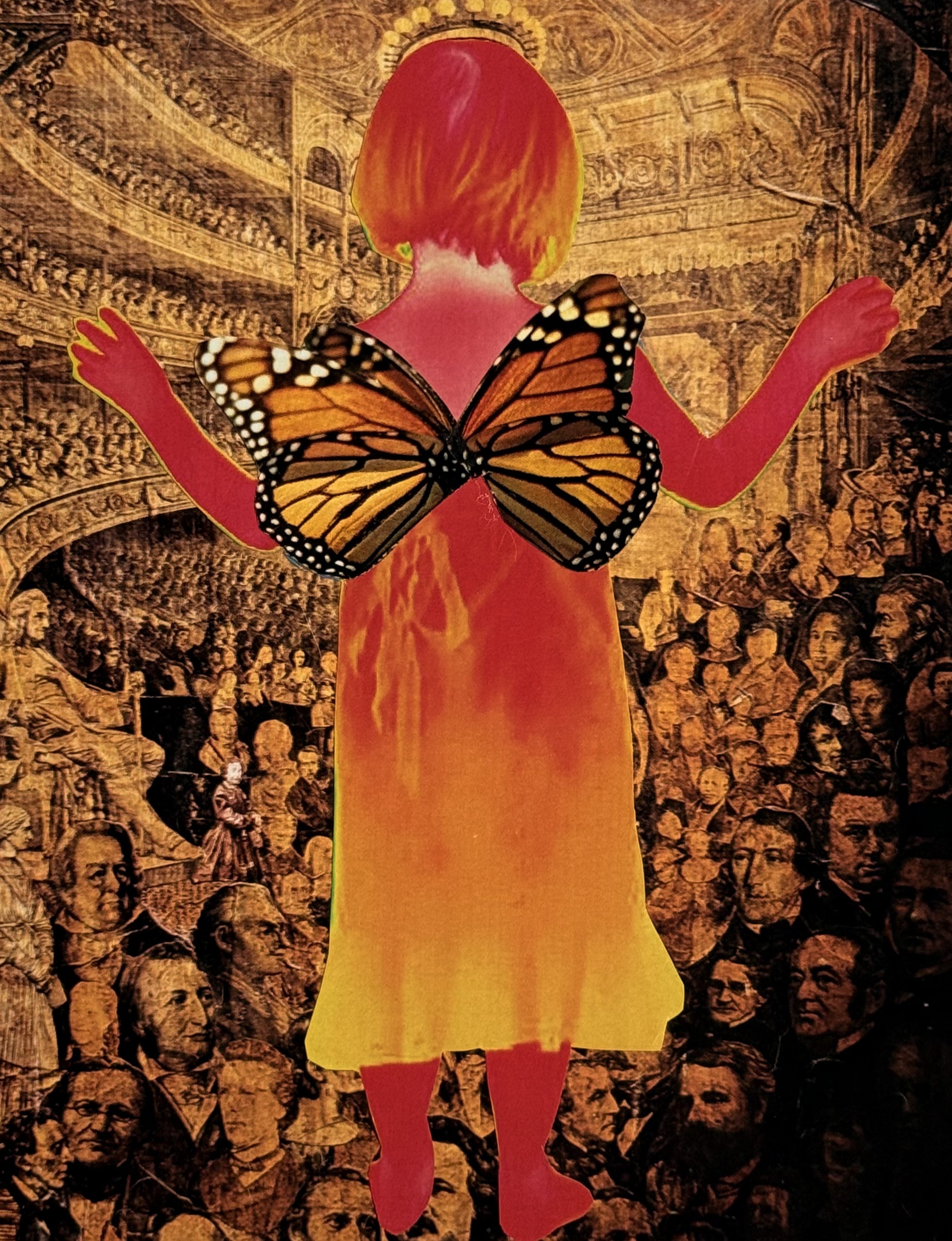 Butterfly Chorus
