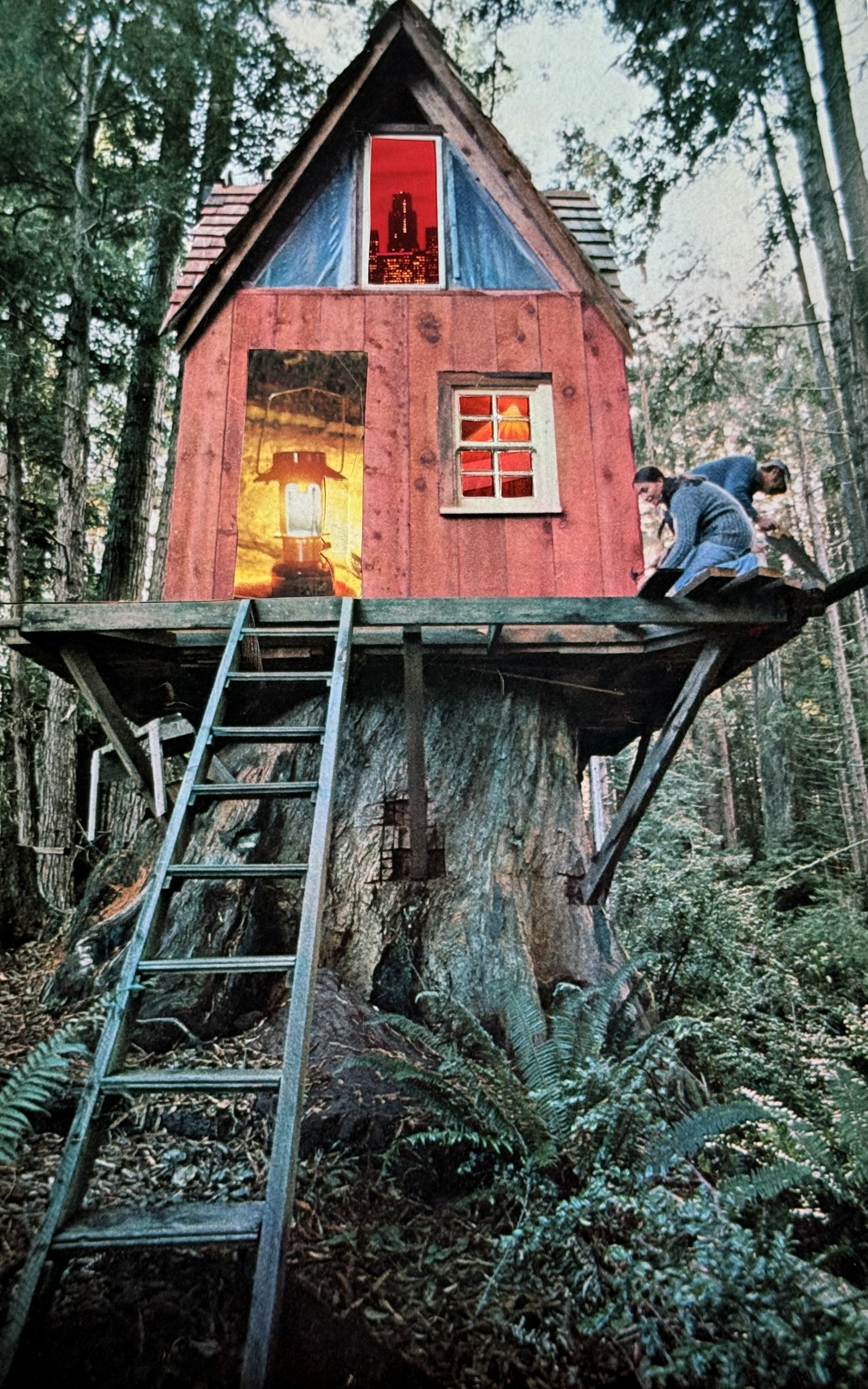House of Home